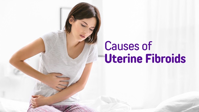 Understanding Fibroids: Causes, Symptoms, and Risks 