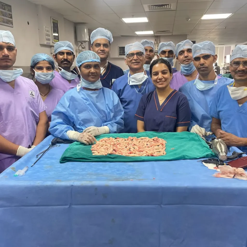 specimen of a huge fibroid that had to be cut into small pieces , so that it can be removed without a big scar on the outside