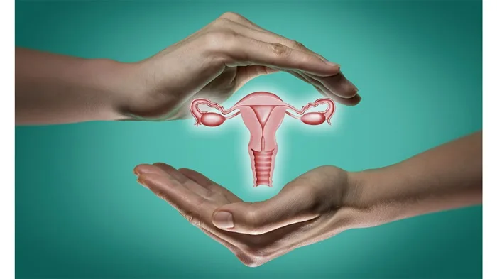 puberty and menstrual_health